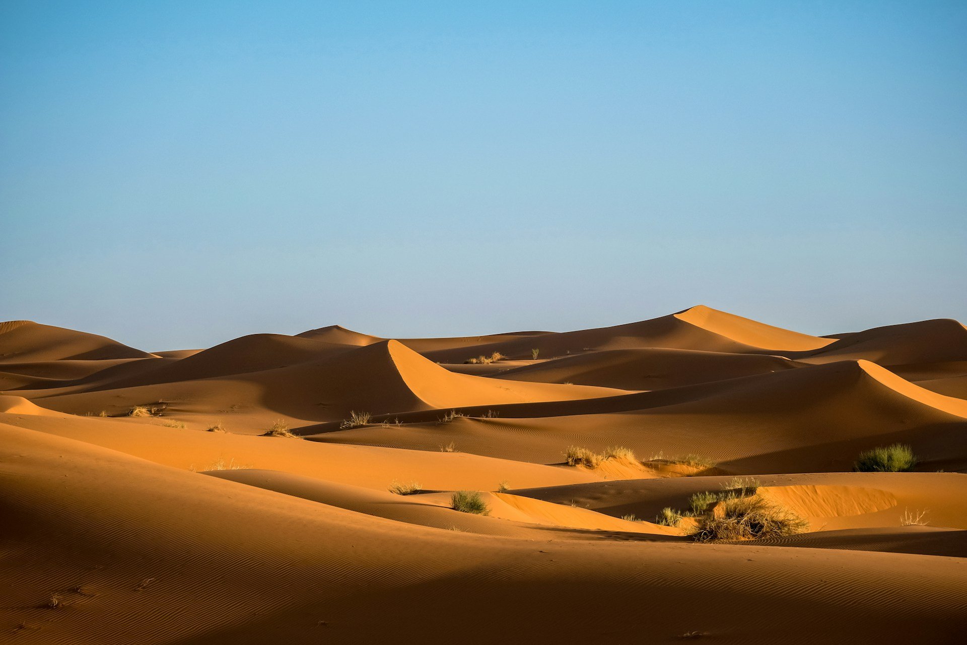 Ekutravel destination